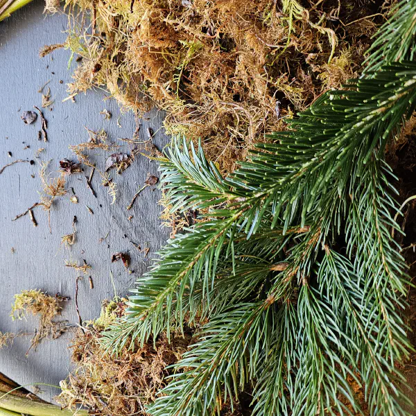 Find Seasonality at Green Garden Spaces