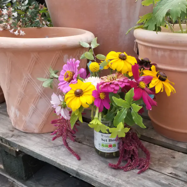 Find Cut Flowers at Green Garden Spaces