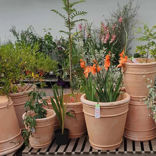 Find Pots and Gardening Kit at Green Garden Spaces